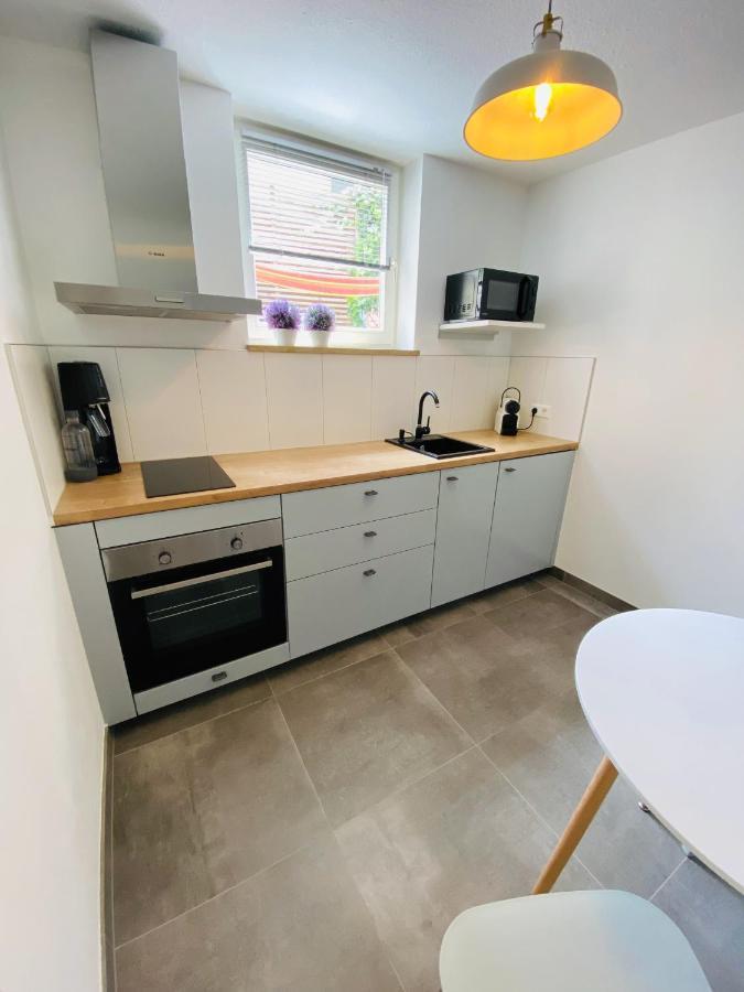 Apartment Regener لاروش المظهر الخارجي الصورة